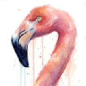 Meet your Posher, Jo